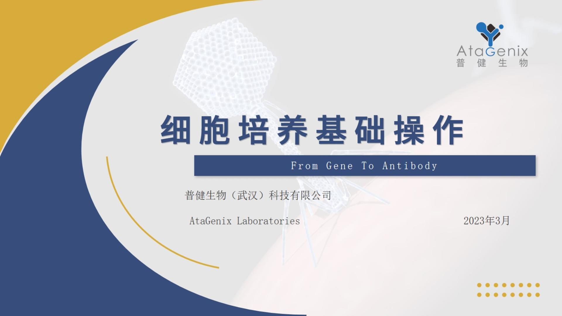 基礎(chǔ)試驗操作篇——細(xì)胞培養(yǎng)